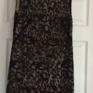 Black and nude lace Ann Taylor loft cocktail dress